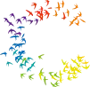 colorbirds - Favicon